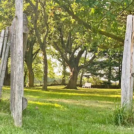 Lille Skov Feriehus Rabenkirchen-Faulück